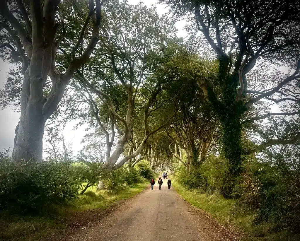 Dark Hedges was such a cool site, one of the best attractions in Northern Ireland and a great thing to do when you travel to the UK from USA.