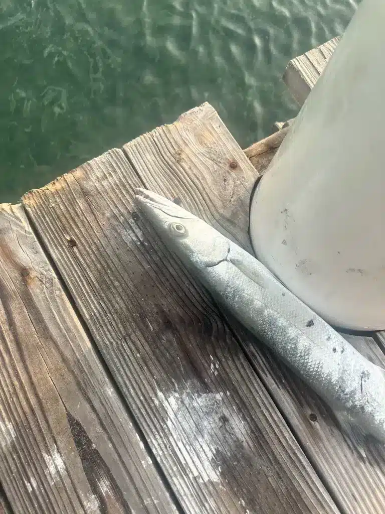 Fishing was #1 on my sons Belize itinerary