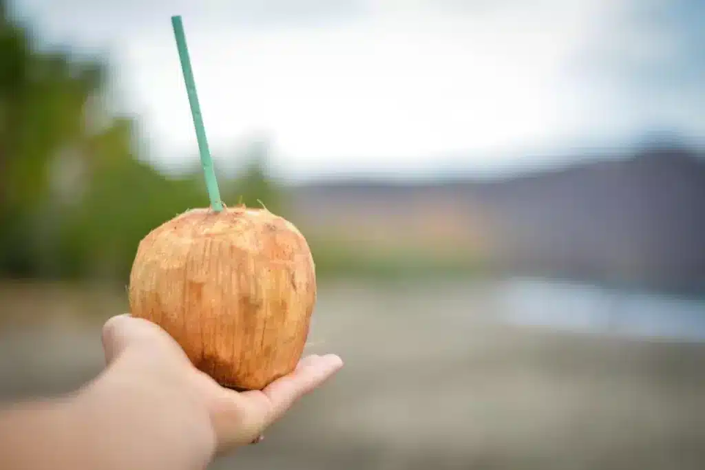 A drink in a coconut shell from Playa Hermosa, one if the best beaches in Costa Rica.