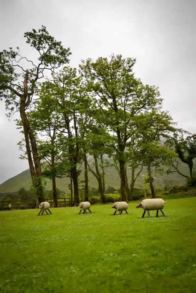 This Ireland road trip guide will take you to the fake sheep at Kylemore Abbey.