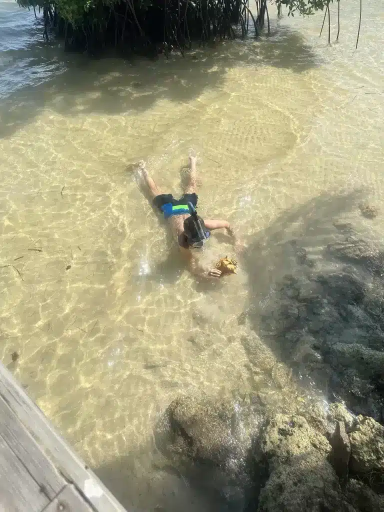 Searching for giant Conch on the beach at Casa Redonda. 