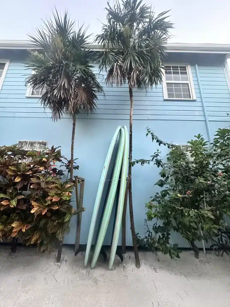 Stand up paddle boards are complimentary at Sandy's Secret in Caye Caulker. 