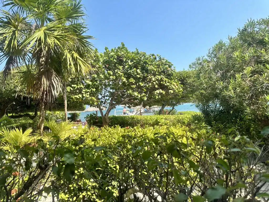 A view from the porch of Sandy's Secret, one of Caye Caulker Belize's best oceanfront home rentals. 