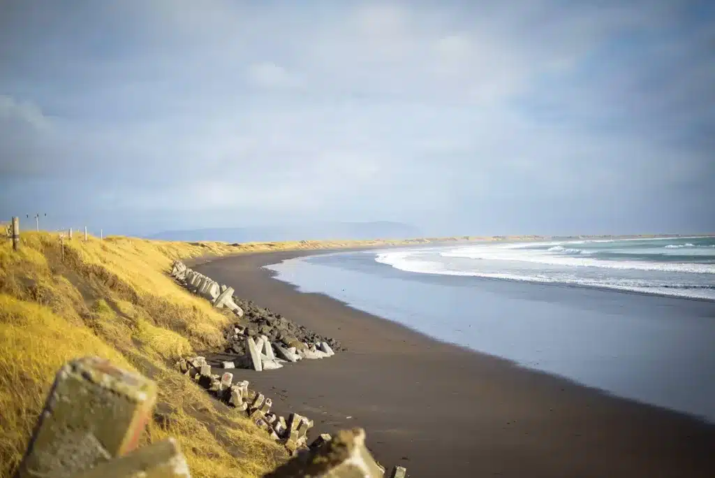 This beach is not too far from Reykjavik and walking it is a free activity. 