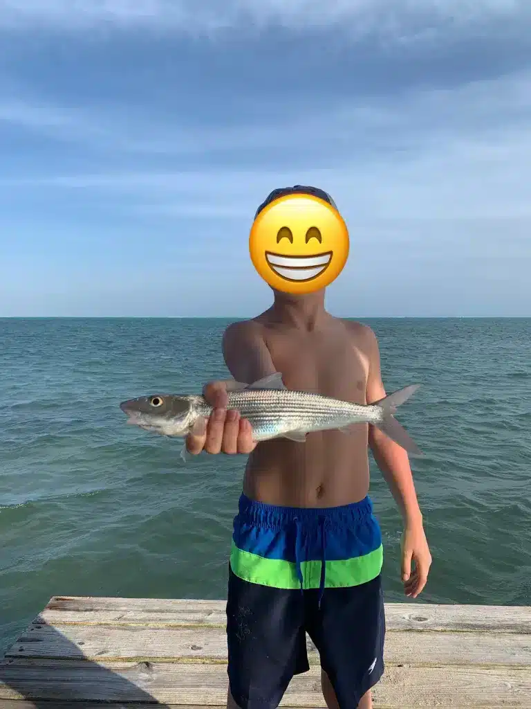 Caught a bonefish off the dock in Ambergris Caye, Belize using a saltwater fishing lure.