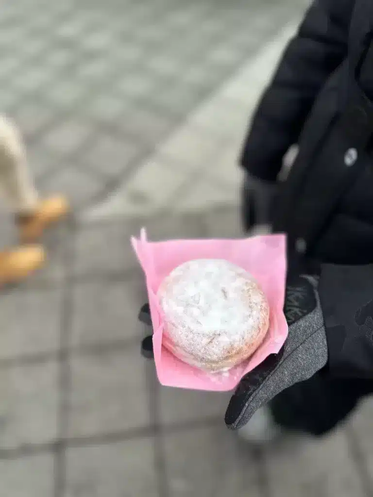 Donuts can be bought at Seljalandsfoss, which is the first of the South Coast waterfalls in Iceland. 