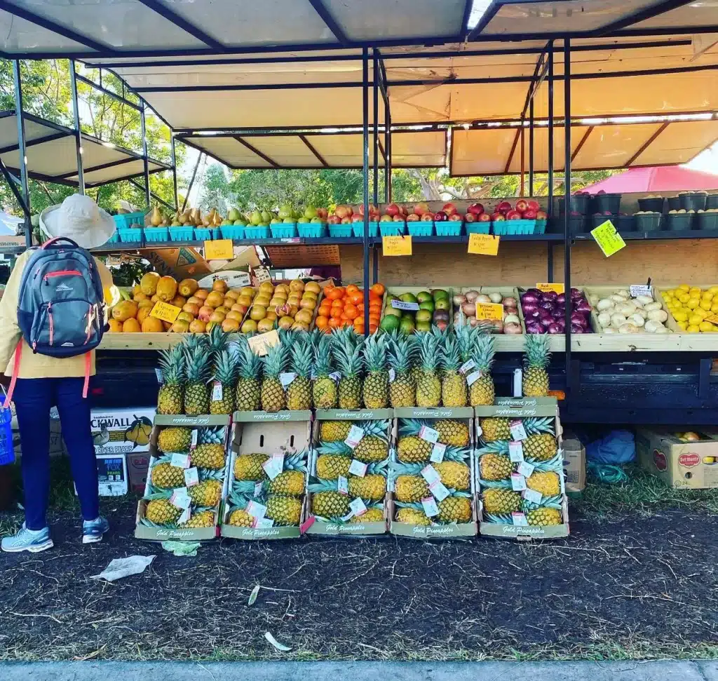 The best attraction for us when we visit Florida is spending time at Marco Island's farmer's market. 