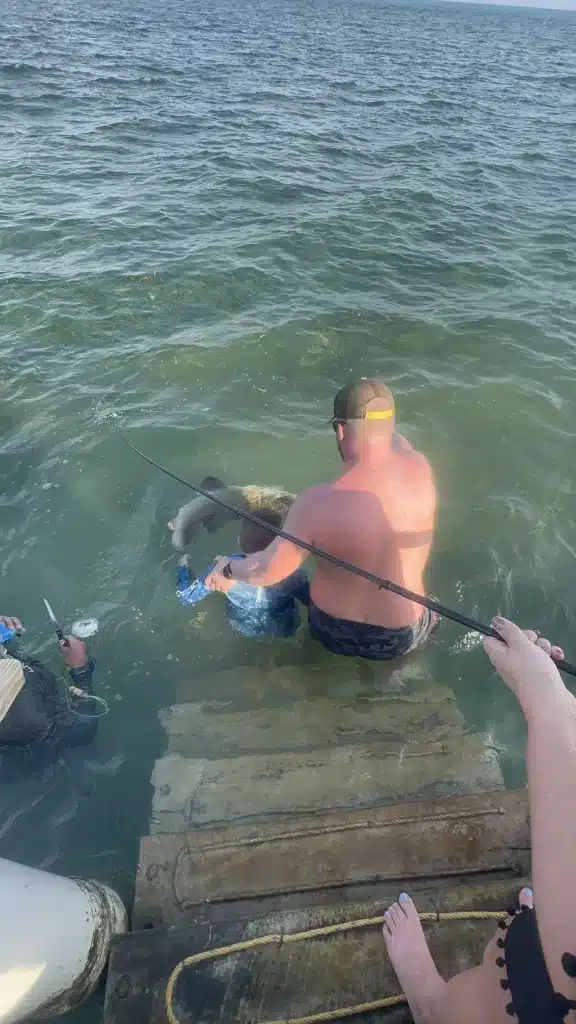 Accidentally caught a nurse shark while fishing in Caye Caulker, Belize. 