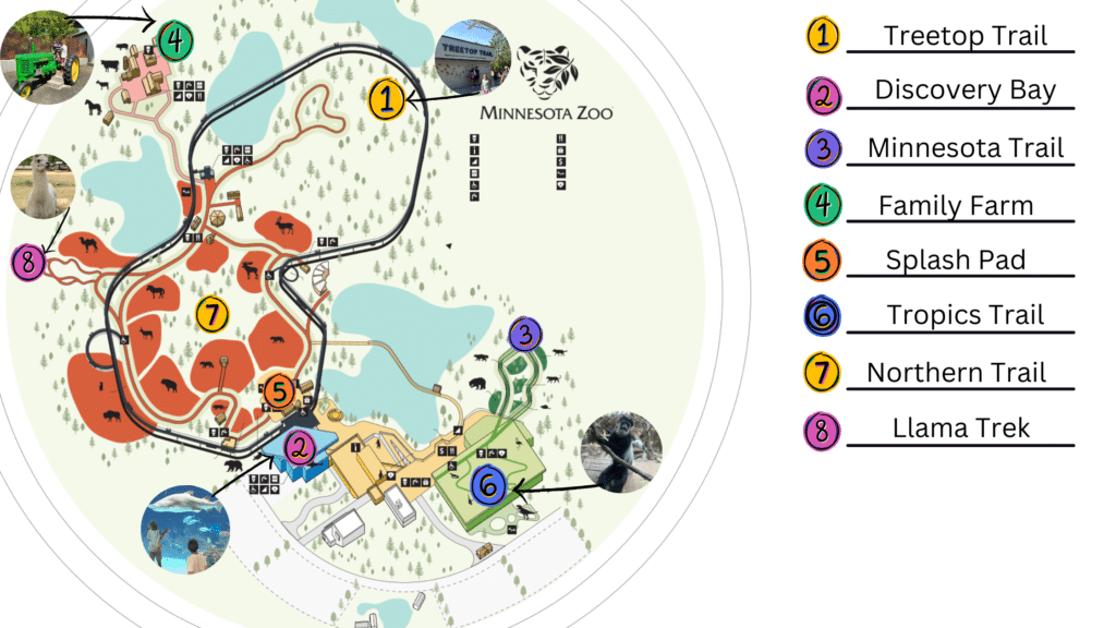 A map of the Minnesota zoo attractions in this visitors guide will help your zoo trick go smoothly.