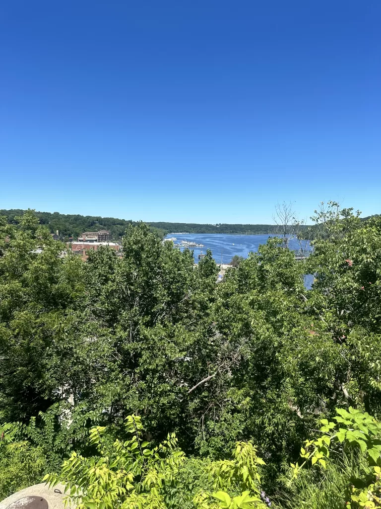 A river view from a higher point in Stillwater.