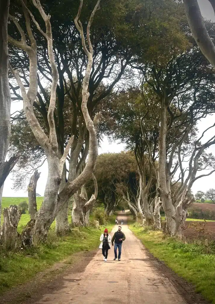 Dark Hedges is a great sight to see on your itinerary for the United Kingdom. 