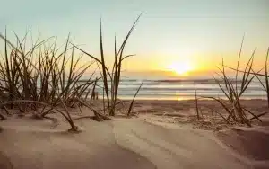 Sunset at the beach.